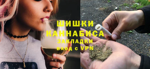 Альфа ПВП Аркадак