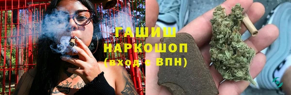 Альфа ПВП Аркадак