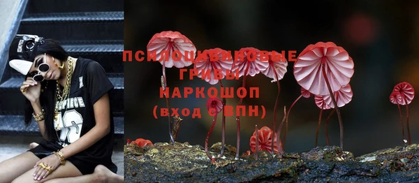 спайс Козловка